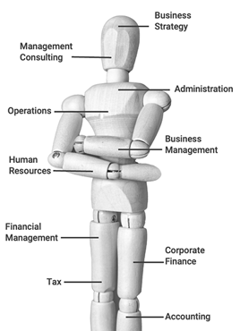 Multidisciplinary-Wood Mannequin 400x553