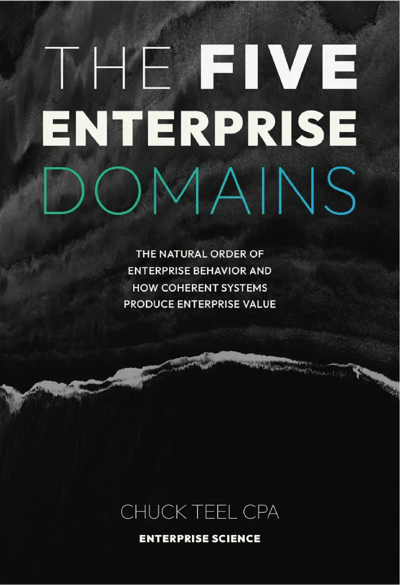 The Five Enterprise Domains book cover